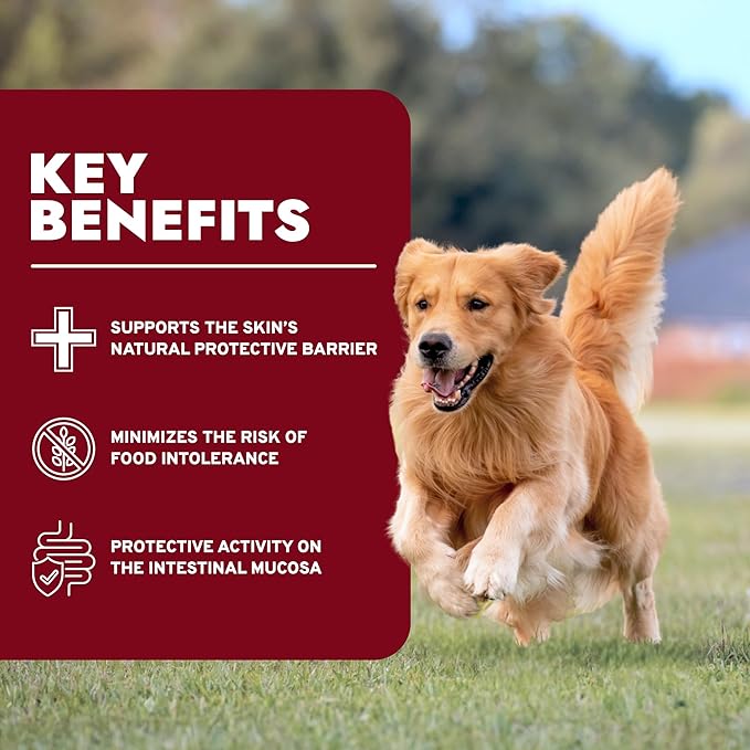 Forza10 - Dog Food, Dermo Dry Food for Itchy Skin, Sensitive Stomach & Coat Health, Limited Ingredient Dog Food, Non-GMO, Fish Flavor, (22 lb)