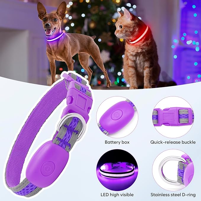 Flashseen LED Dog Collar, Light Up Dog Collar USB Rechargeable, Brightest Dog Lights for Night Walking, Adjustable Dog Collar Light for Dog Safety (Purple, X-Small)