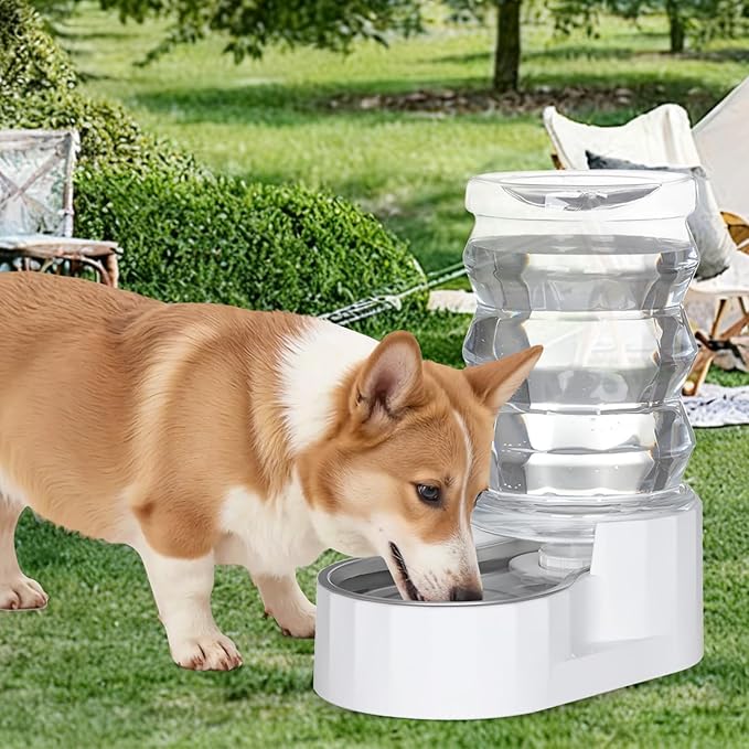 RIZZARI Automatic Gravity Pet Dispenser: Helps Prevent Urinary Stones - Activated Carbon Ion Exchange System - 6.5L Large Capacity Stainless Steel-Ideal for Cats & Small Dogs-All-Day Hydration at Home