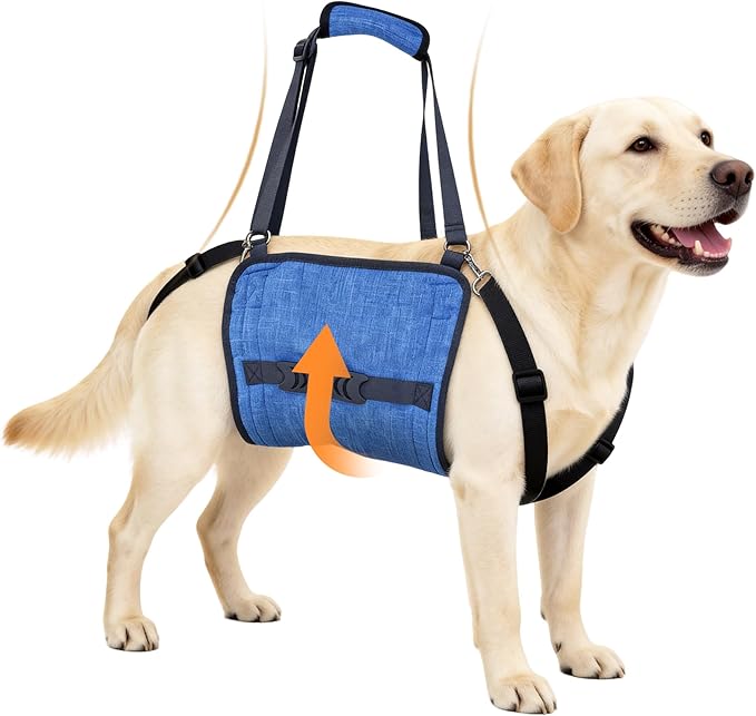 Dog Lift Harness for Large Dogs, Dog Sling Carrier with Lifting Handle for Mobility Assistance, Senior Dogs with Arthritis, Hip Dysplasia & Post-Surgery Recovery, XL