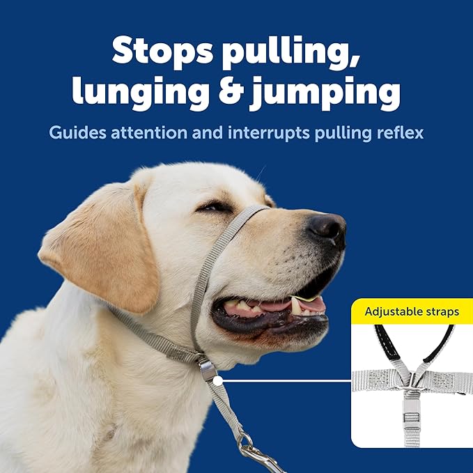 PetSafe Gentle Leader Headcollar No-Pull Dog Collar - Helps Improve Walks - Durable Nylon Construction - Padded Nose Loop - Adjustable Fit - Comfort Walking Halter - Small, Black
