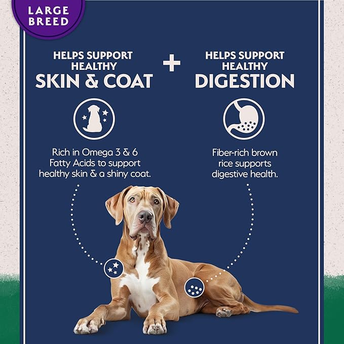 Natural Balance Limited Ingredient Large Breed Adult Dry Dog Food with Healthy Grains, Lamb & Brown Rice Recipe, 26 Pound (Pack of 1)