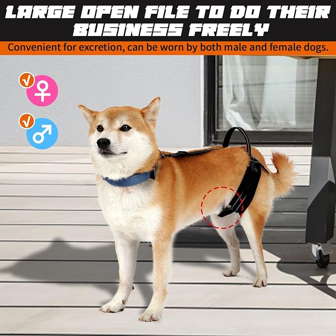 ROZKITCH Pet Dog Support Harness Rear Lifting Harness for Back Legs Reflective Dog Sling Vet Approved for Old Helps with Poor Stability Hind Legs, Joint Injuries Elderly Arthritis ACL Rehab Black M