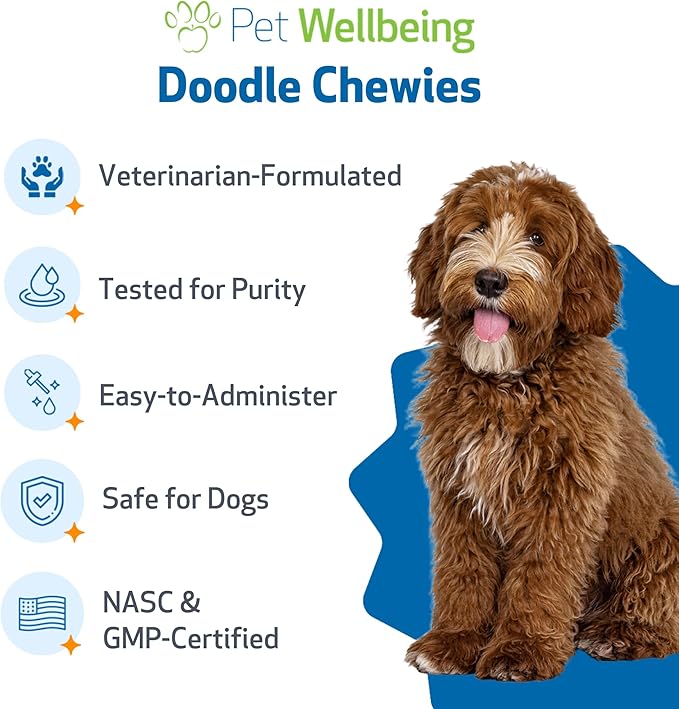 Pet Wellbeing Doodle Chewies for Doodles and Dogs Vet-Formulated - Bone Broth, Beef Liver, Antioxidant-Rich Fruits & Veggies, Probiotics - Nutritional Supplement 100 Soft Chews