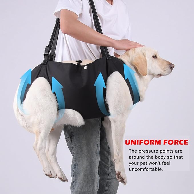 Dog Lift Harness, Full Body Support Sling，Adjustable Handle & Open Crotch Design for Senior, Disabled, Injured Dogs, Help with Walking, Climbing Stairs, Car Travel(Black,Small)