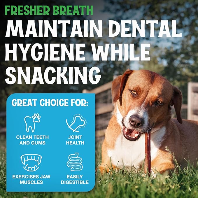 Bully Sticks for Puppies - Odor-Free Bully Sticks (6 Inch, 25 Pack), 1 lb. Bag, Fully Digestible 100% Beef Pizzle Chews, Grass-Fed, Non-GMO, Grain-Free,