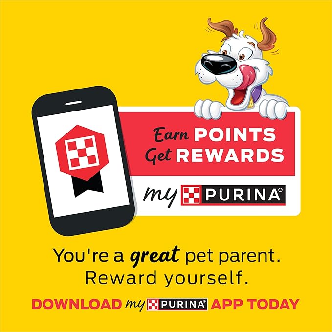 Purina Beggin' Strips With Real Meat Dog Treats, With Bacon and Peanut Butter Flavor - (Pack of 2) 26 oz. Pouches