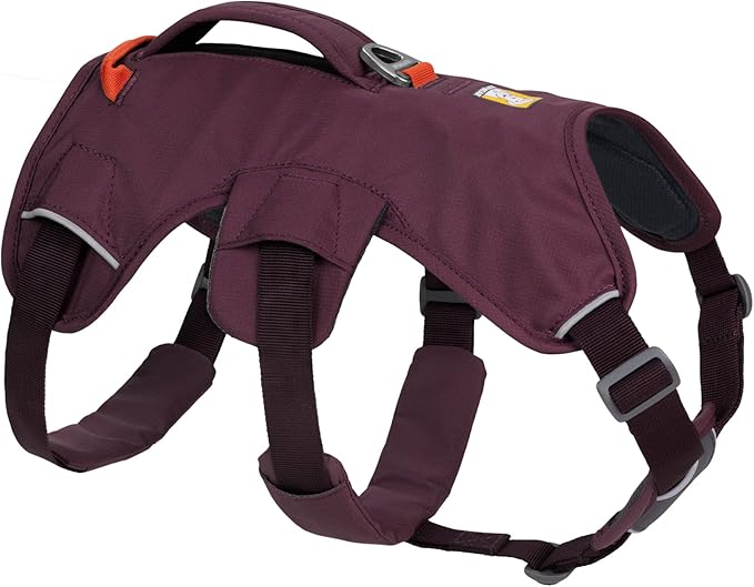 Ruffwear, Web Master, Multi-Use Support Dog Harness, Hiking and Trail Running, Service and Working, Everyday Wear, Purple Rain, XX-Small