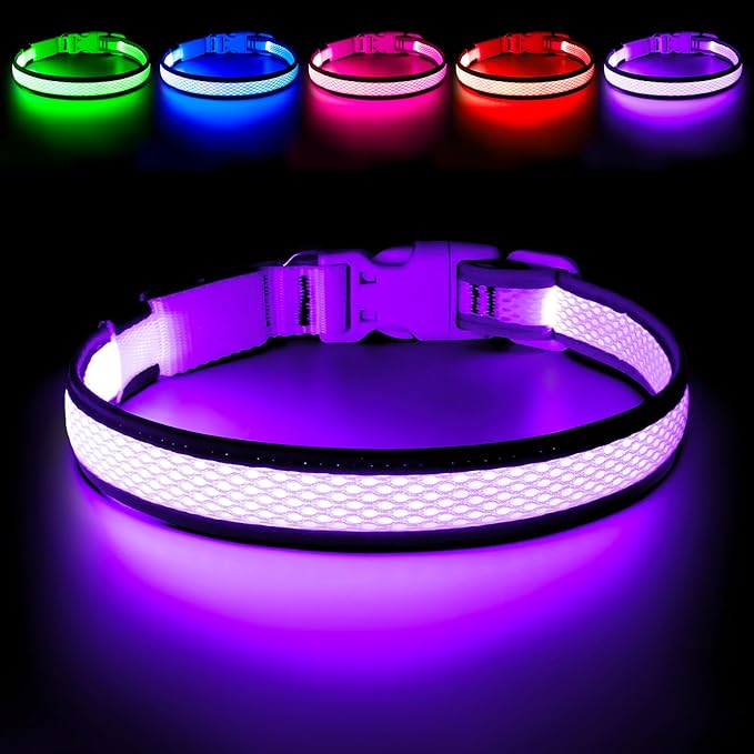 Flashseen LED Dog Collar, Light Up Dog Collar USB Rechargeable, Brightest Dog Lights for Night Walking, Adjustable Dog Collar Light for Dog Safety (Purple, Medium)