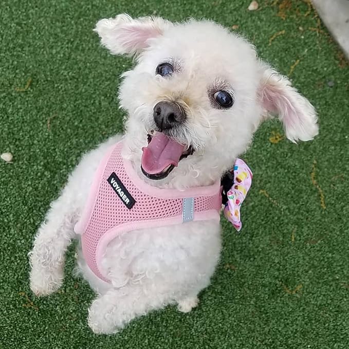 Best Pet Supplies Voyager Step-in Air Harness - All Weather Mesh, Reflective, No Pull Harness for Dogs, Cats - Secure with Hook & Loop Fastener, Buckle, Double D-Rings - Pink, S