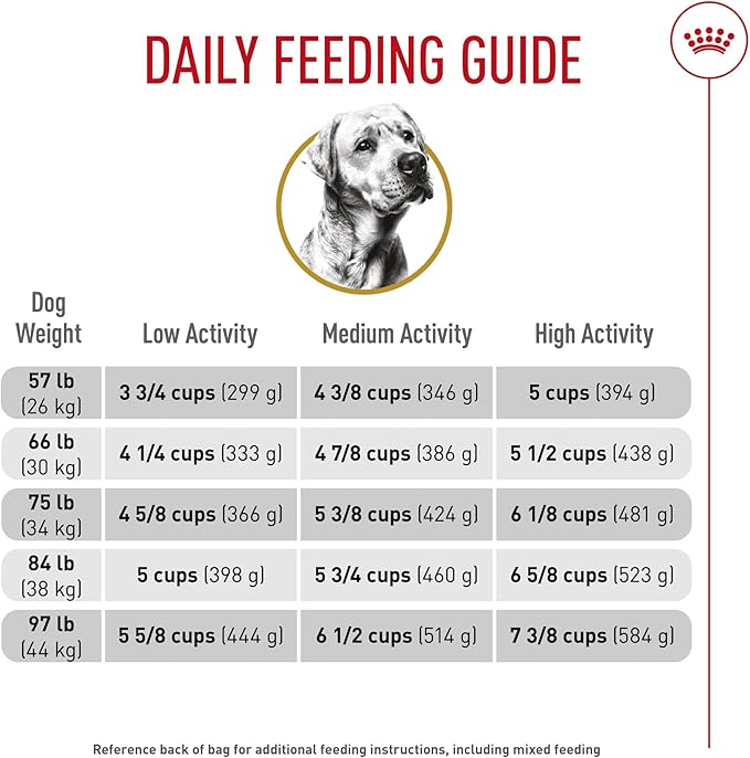 Royal Canin Breed Health Nutrition Labrador Retriever Adult Dry Dog Food, 5 lb Bag