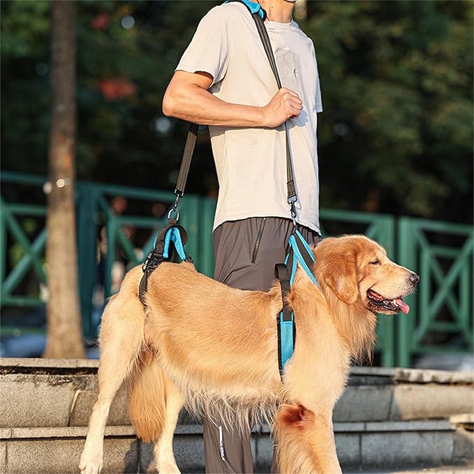 Senior Dog Harness Adjustable Mobility Aid for Disabled Elderly Pet with Quick to Release Soft Padding - S