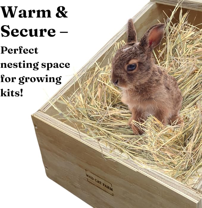 XL Rabbit Nest Box – Heavy-Duty Wood – Large & Giant Rabbit Breeds – Perfect for Nesting & Breeding Rabbits and Small Animals