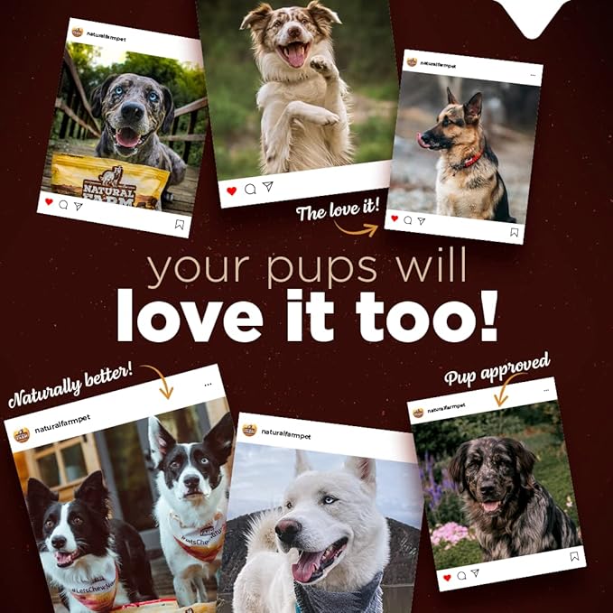 Natural Farm Bully Cheek Stick, 10-12 Inch (12-Pack)- Best Bully Stick Alternative, 100% Natural Beef Cheeks for Dogs- High Protein, Cleans Teeth Treats, Long Lasting Beef Chews for All Dog Sizes