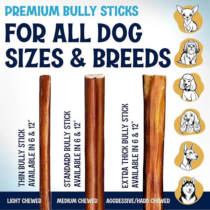 Large Bully Sticks for Dogs - 100% Beef Tasty Natural Flavor - Fully Digestible Dog Chews - Long-Lasting chewing sticks - Bully Sticks Odor Free for Medium and Large Dogs (12 Inch, 10 Pack)