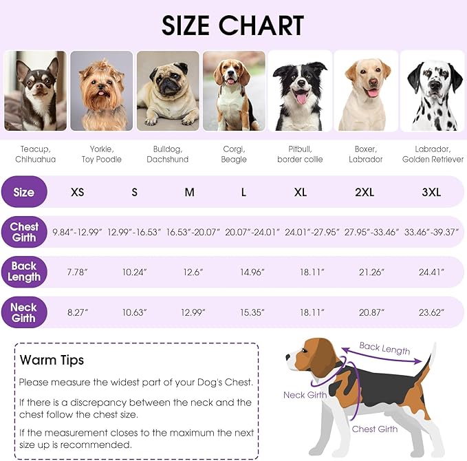 Queenmore Dog Surgical Recovery Suit Onesie, Recovery Suit for Dogs Cats After Surgery, Anti Licking Pet Female Post-Operative Spayed Neutered Shirt, Substitute E-Collar & Cone, Purple,3XL