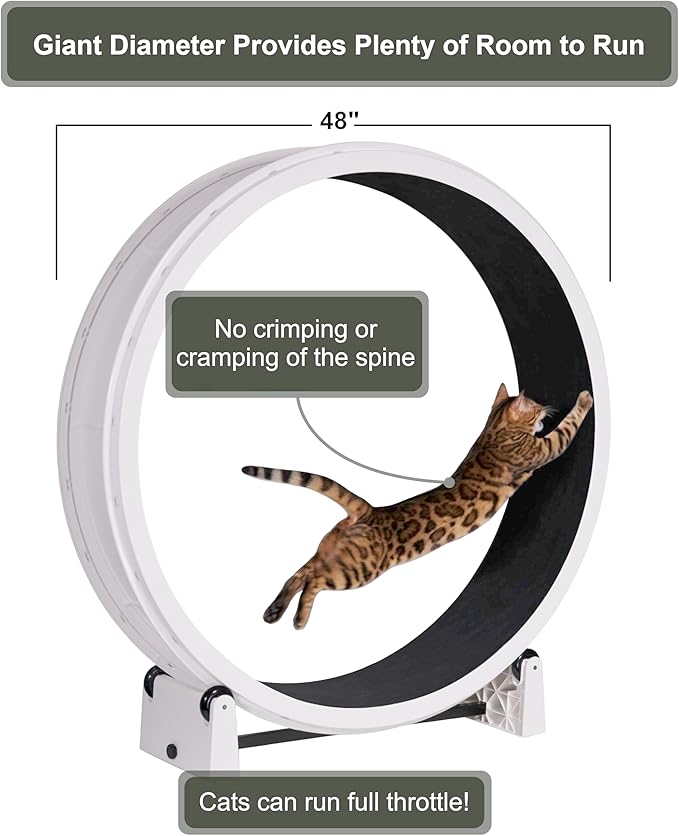 One Fast Cat - Cat Exercise Wheel - Gen. 7 - Safe 48" Diameter - Made in The USA - White Wheel with Black Felt Traction Pads and Solid Black Inline Wheels