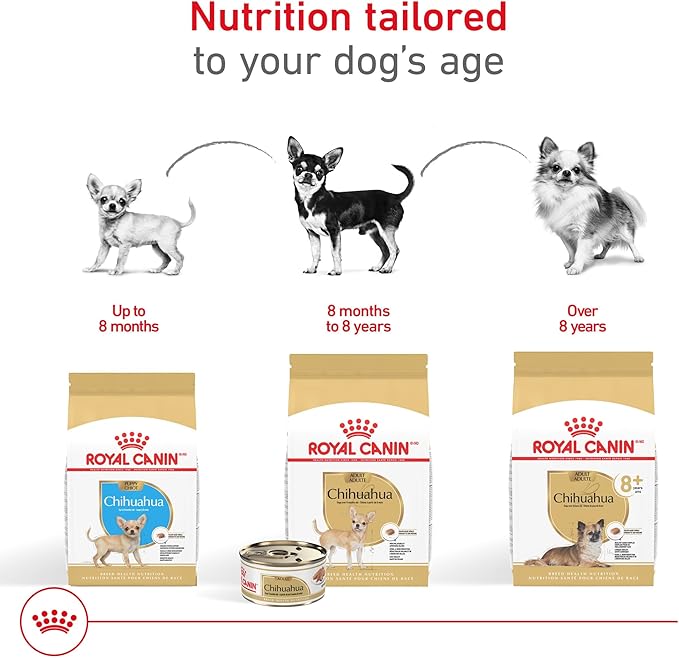 Royal Canin Breed Health Nutrition Chihuahua Adult Loaf in Sauce Dog Food, 3 oz (Pack of 6)