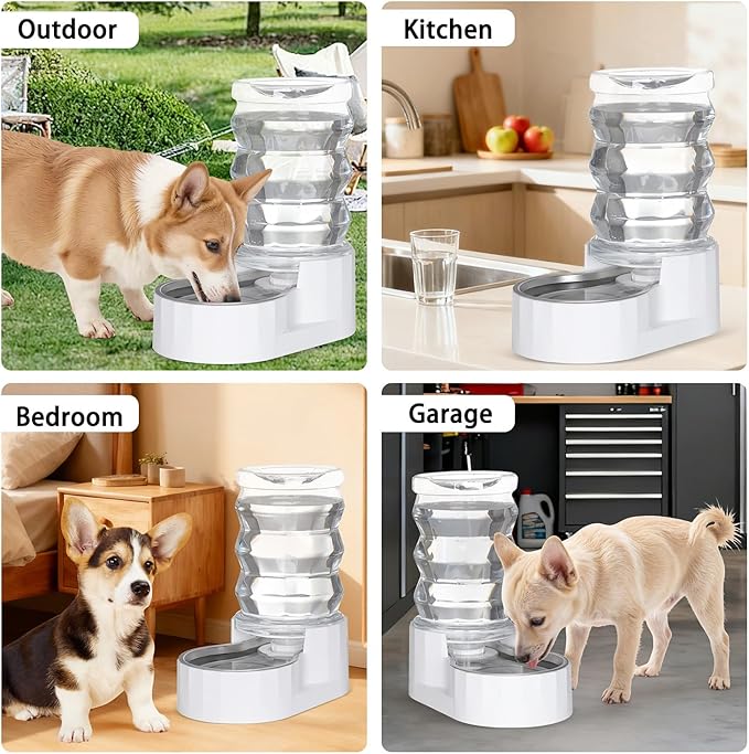 RIZZARI Automatic Gravity Pet Dispenser: Helps Prevent Urinary Stones - Activated Carbon Ion Exchange System - 6.5L Large Capacity Stainless Steel-Ideal for Cats & Small Dogs-All-Day Hydration at Home