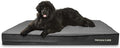 The Dog’s Bed Orthopedic Memory Foam Dog Bed for XXXL Dogs, Waterproof Washable Cover, Anti-Slip Base, Calming Surface – CertiPUR-Certified Foam, Grey Plush, 6 Inch Thick