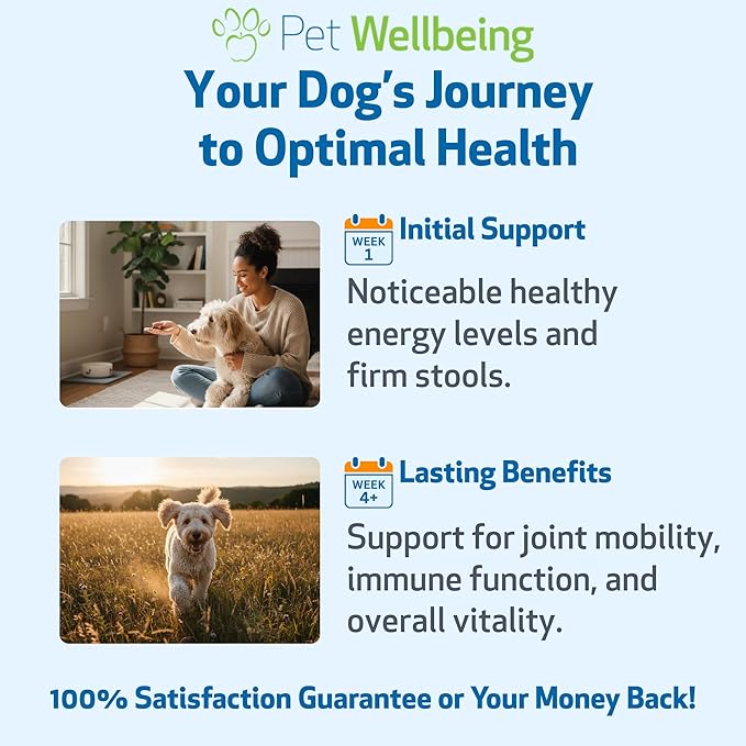 Pet Wellbeing Doodle Chewies for Doodles and Dogs Vet-Formulated - Bone Broth, Beef Liver, Antioxidant-Rich Fruits & Veggies, Probiotics - Nutritional Supplement 100 Soft Chews
