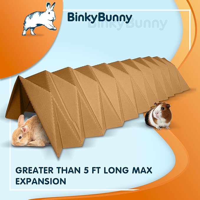 BinkyBunny Tunnel Haven