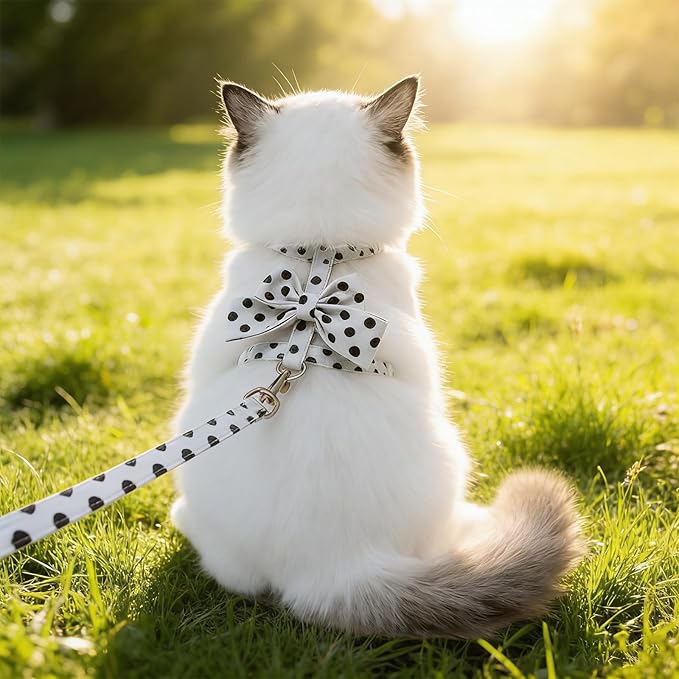 Cat Harness and Leash Set, Sweet Bow Kitten Collar, Escape Proof Extra Small Dog Harness, Cute Polka Dot Print Puppy Collar, Dog Leash for Boy Girl Small Dogs Kittens Outdoor Walking (White, S)