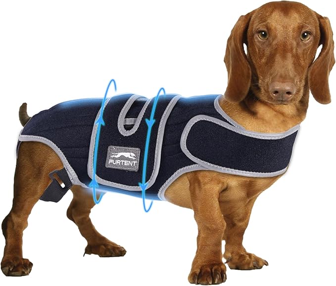 Dog Back Brace for IVDD, Joint Discomfort, Furtent Small Support Harness for Dachshund Recovery, Spinal Relief & Back Stability (S)