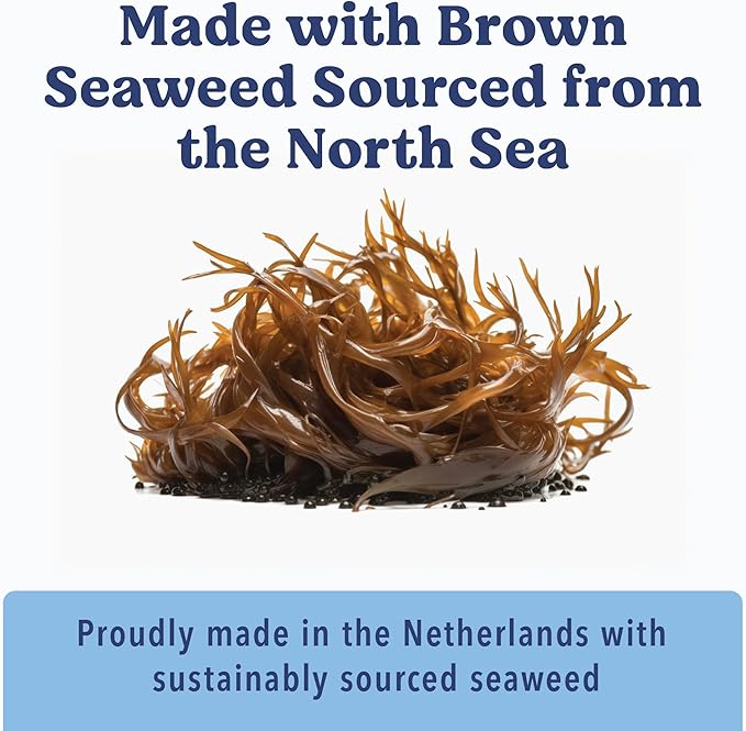 Angels’ Eyes Sea Sticks Multi-Benefit Daily Dog Treats with Brown Seaweed Gut Health & Metabolic Support Grain-Free, Gluten-Free, Plant-Based North Sea Large 6ct