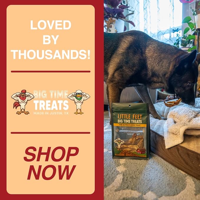 Duck Feet Dog Treats - Single Bag - 12 Premium Extra Large Pieces - 100% Sourced and Made in USA