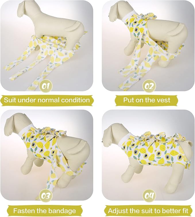 PUMYPOREITY Cat Recovery Suit - Female Kitten Onesie for Neutered/Abdominal Wound/Skin Damage/Weaning, Yellow, XS