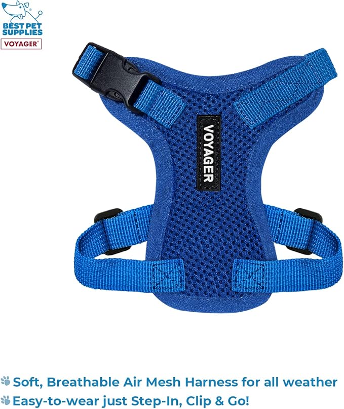 Best Pet Supplies Voyager Step-in Lock Pet Harness w Reflective Pet Leash Combo Set with Neoprene Handle 5ft - Supports Small, Medium and Large Breed Puppies/Cats - Royal Blue, XXXS