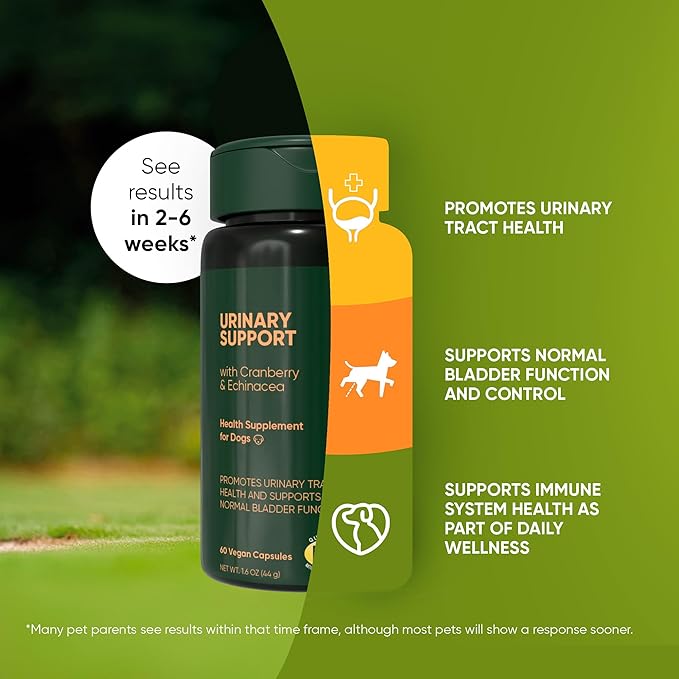 Rooted Owl Urinary Support - Echinacea and Cranberry Supplement for Dogs - Dog UTI Prevention - 60/ct