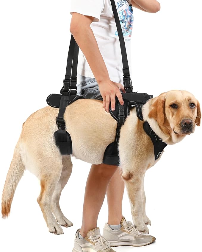NOYAL Dog Lift Harness for Senior & Injured Pets – Full-Body Support Sling with Breathable Mesh, Front/Rear Leg Assist for Arthritis, Hip Dysplasia & Post-Surgery Recovery (Medium-Large Breeds)