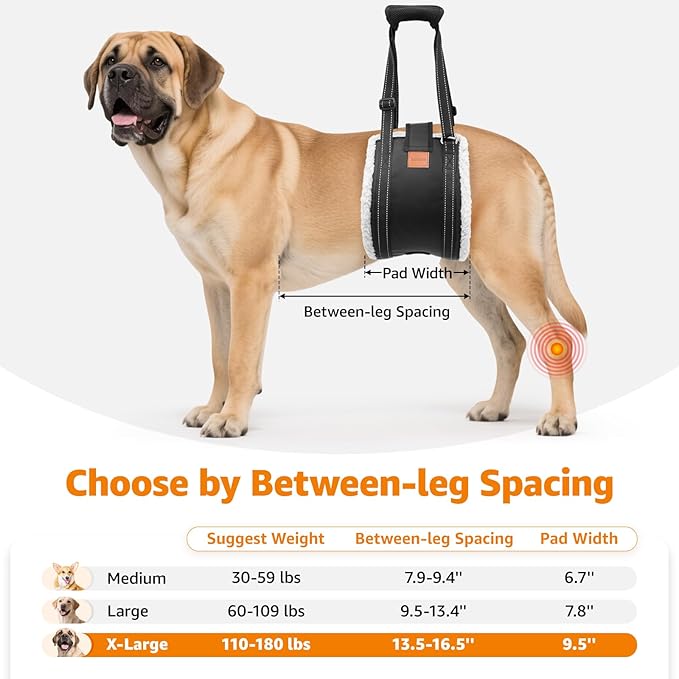 LOOBANI Dog Lift Harness for Back Legs, Portable Dog Sling for Large Dogs Hind Leg Support, Comfortable Supports Helps Canie Hip Arthritis K9 Cruciate Ligament Rehabilitation