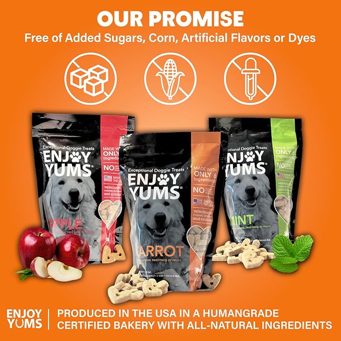 Carrot Dog Treats – 1 lb Bag – All-Natural, Low Sugar, Crunchy Baked Biscuits – Vet-Approved Snacks for Dogs – Made in USA