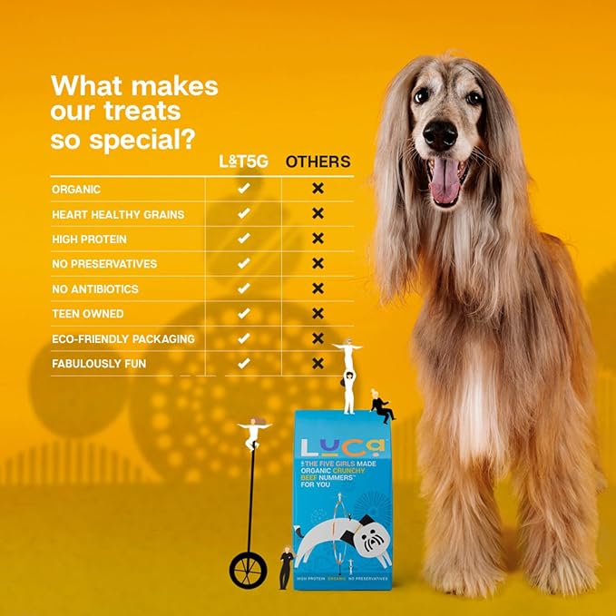 Crunchy Beef Organic Dog Treats - High Protein, Grain-Inclusive, USDA Certified Organic, Human-Grade, No Preservatives - Small Batch, Delicious & Healthy Snack for Dogs