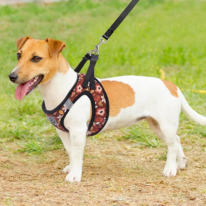 KOOLTAIL Fall Dog Harness and Leash Set for Small Medium Dogs, Autumn Step in No Pull Comfort Padded Pet Vest, Adjustable Reflective Easy Walking Puppy Cats Harness Training, Leaf & Flower S