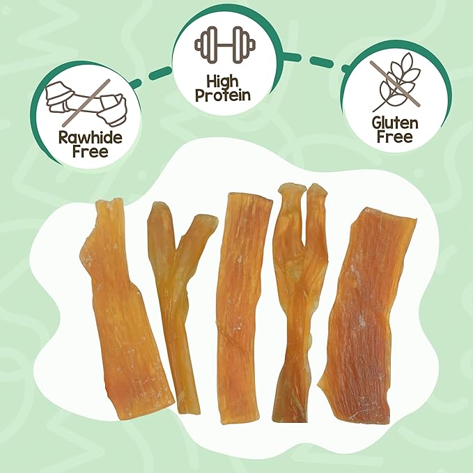 Nature Gnaws Beef Tendons for Dogs (1Lb) - Mixed Thickness - Long Lasting for Small and Medium Dogs - Natural Beef Jerky Dog Chew Bones - Rawhide Free