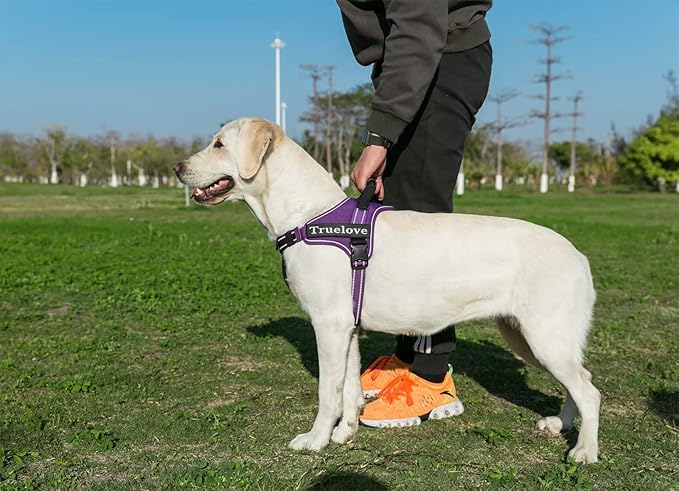 TRUE LOVE Dog Harness No-Pull Reflective Stitching Ensure Night Visibility Outdoor Adventure Big Dog Harness Perfect Match Puppy Vest TLH5753 Now Available in 6 Colors 6 Sizes