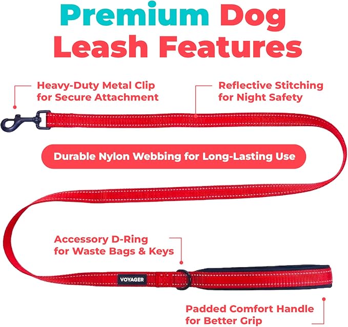 Best Pet Supplies Voyager Reflective Dog Leash or Collar with Neoprene Handle, for Small, Medium, and Large Breed Puppies, Cute and Heavy Duty for Walking, Running and Training - Red (Leash), L