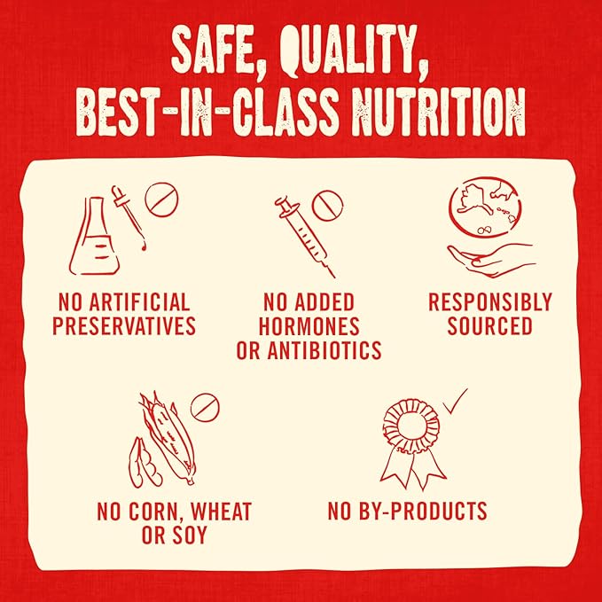 Stella & Chewy's Freeze-Dried Raw Coated Dog Biscuits – Cage-Free Chicken Recipe – Protein Rich, Grain Free Dog & Puppy Treat – Great Snack for Training & Rewarding – 9 oz Bag