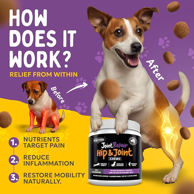 Joint Repair Dog Joint Supplement with Glucosamine for Dogs, Chondroitin, Omega 3, MSM, Hemp & Turmeric. Supports Hip & Joint Health, Mobility & New Cartilage. 120 Chicken Flavor Chews, Made in USA