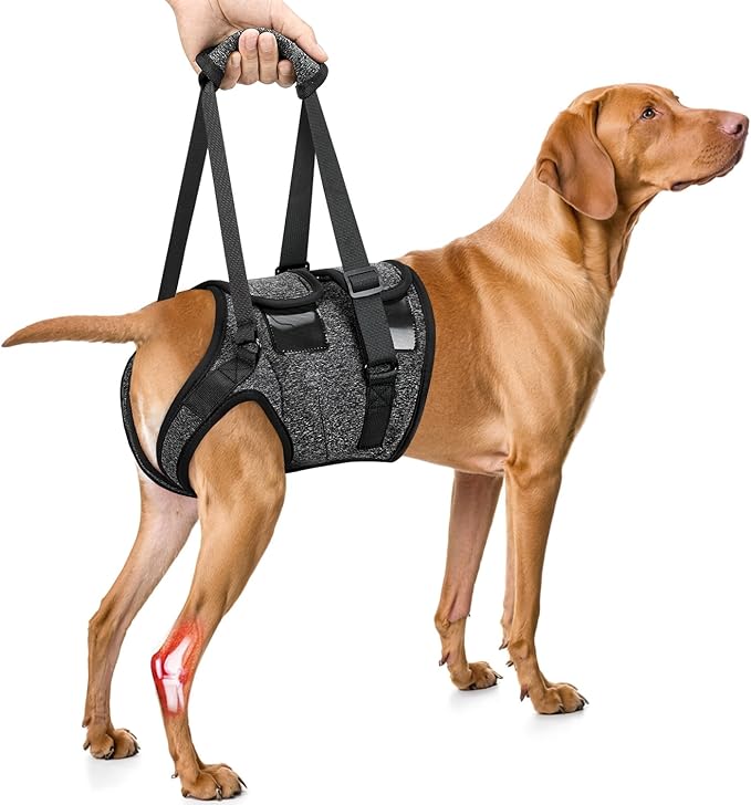 SlowTon Dog Lift Harness - Adjustable Dog Sling for Medium Large Dogs, Hind Leg Support to Help Rehabilitate, Soft Padded Dog Support Harness for Elderly, Injured, Arthritic, Disabled Dogs, XL