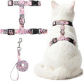 PUPTECK Adjustable Cat Harness and Leash Set Escape Proof Kitten Strap Collar for Walking Travel, Leopard Print