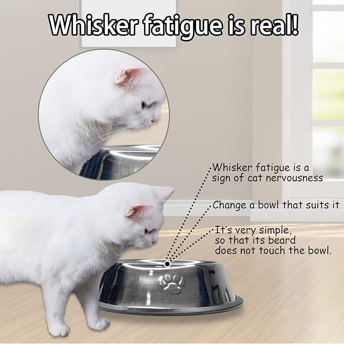 Fhiny 4Pcs Stainless Steel Dog Cat Bowl with Rubber Base Pet Food and Water Feeder Bowls Stackable Non-Slip Dish Plate for Small Medium Animals Puppy Kitten Rabbit