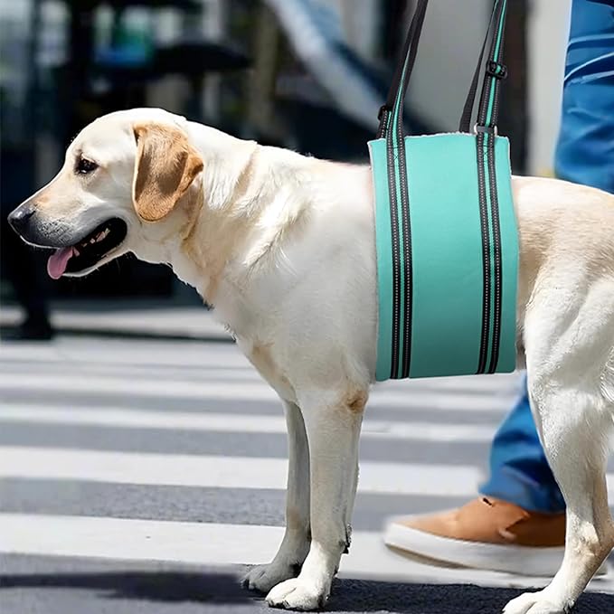 AIITLE Dog Slings for Small Dogs - Adjustable Hind Leg & Hip Support Harness, Plush Rehab Lift Aid with Reflective Straps, Assist Elderly/Injured/Post-Surgery Dogs with Mobility Issues (Turquoise, S)