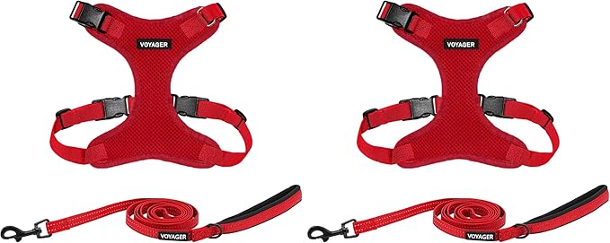 Voyager Step-in Lock Dog Harness w Reflective Dog Leash Combo Set with Neoprene Handle 5ft - Supports Small, Medium and Large Breed Puppies/Cats by Best Pet Supplies - Red, L (Pack of 2)