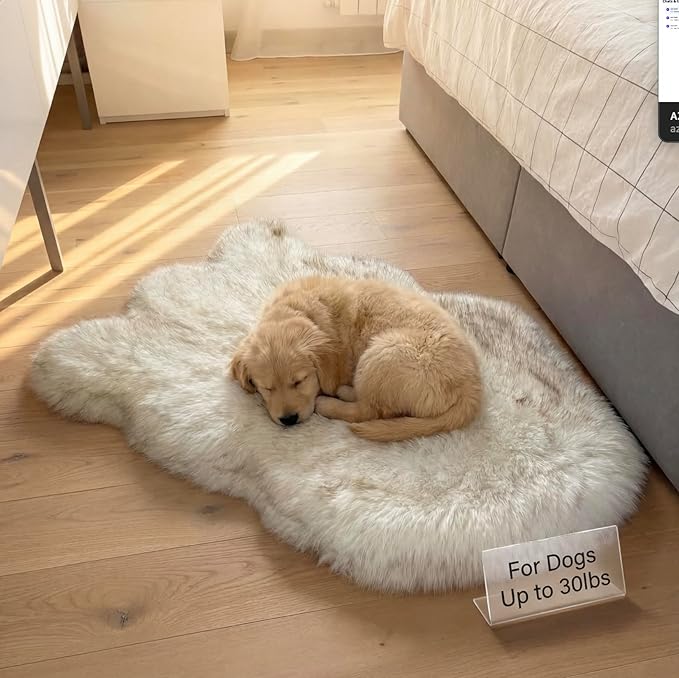 IHAPPYDOG Luxury Faux Fur Orthopedic Dog Bed, Memory Foam Dog Bed for Small, Medium, Large and XL Pets, Fluffy Pet Bed with Waterproof and Washable Cover (White w/Brown Tips, 30"x20")