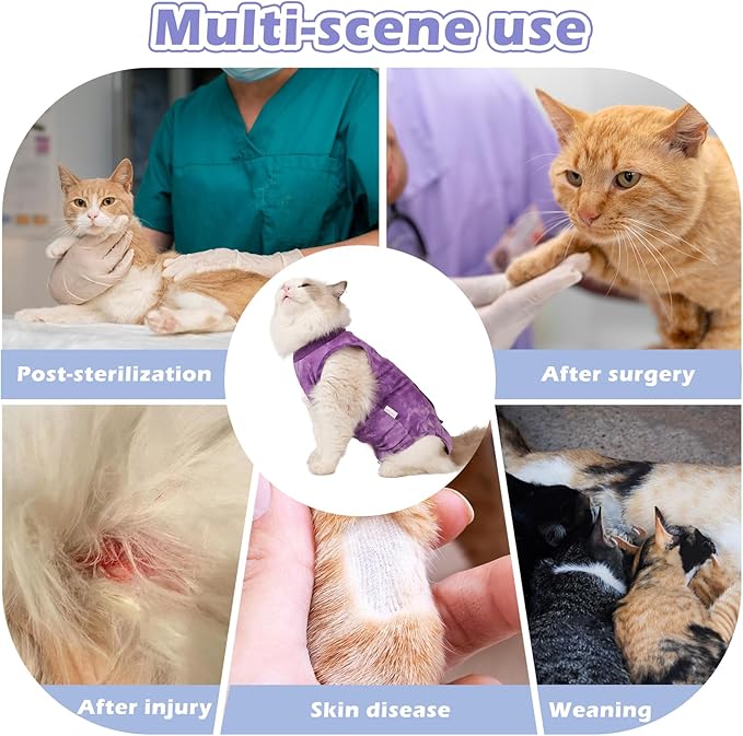 2Pack Cat Surgery Recovery Suit Female,Cat Onesie for Cat After Surgery Female,Kitten Spay Surgical Recovery Suit Stop Licking Abdominal Wound,Pink&Purple L